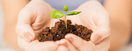 Stand Up Pouches – The Eco-Friendly Alternative Packaging